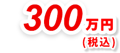 300万円